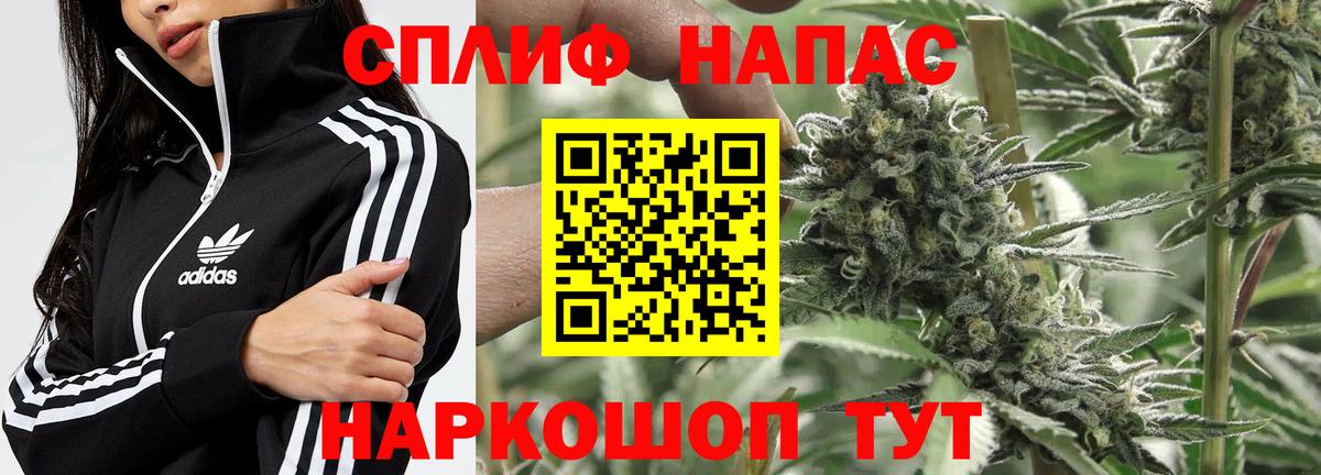 Бошки Шишки планчик Белово